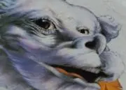 manaponponの画像