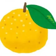 柚子