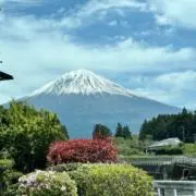 KR.21の画像