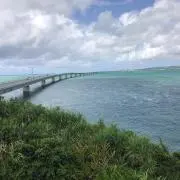 みーこの画像