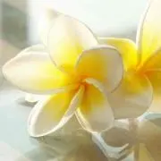 アール♡キャラグッズ【プロフ必読】