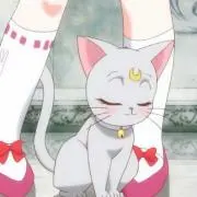 ネコニャの画像
