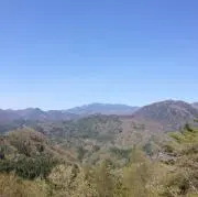 Sの画像