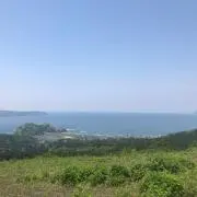 kotorinの画像