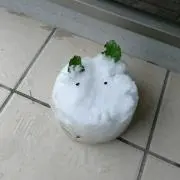 ずー