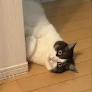 アスリーの画像