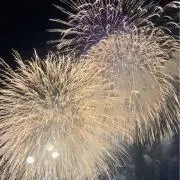 saraの画像