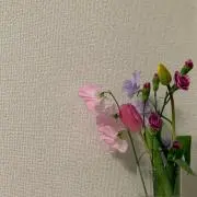 かき餅の画像