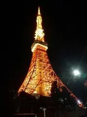 maestosoの画像