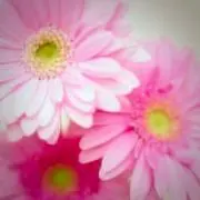 ビジネス•育児・絵本母さん★プロフ参照
