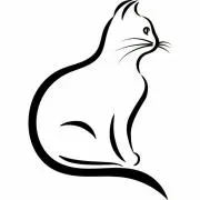 ツキの画像