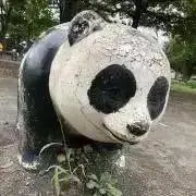 けんたたたたたの画像