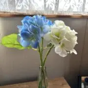 hironon 24時間以内に発送しますの画像