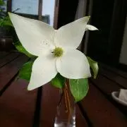 jukusan223の画像