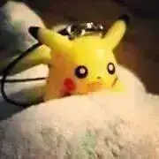 せいでんき