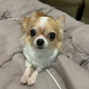妻がメンヘラ