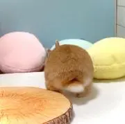 mimi