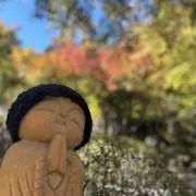 華の画像