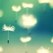 nao♪