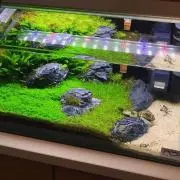 ヒロ※9月15日まで受け取り出来ません