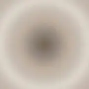 yuの画像