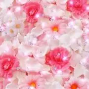みーの画像