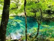 AKARIの画像