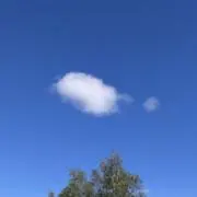 ゆいの画像
