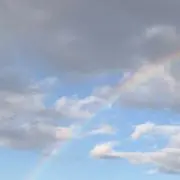 ・・・の画像