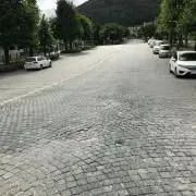 ビリの画像