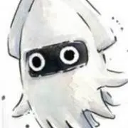 スルメイカの画像