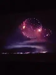 せつの画像