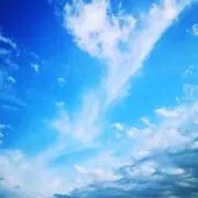 sの画像