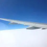 さゆりんの画像