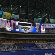 ほっしー