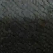 かんてんママ☆