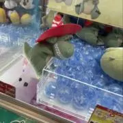 のんきちの画像