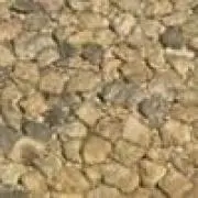 ブンブン丸の画像