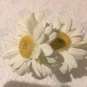 フルール