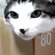 にな