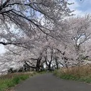 ふくはうすの画像