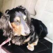 KENの画像
