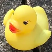 ももやまの画像