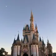 ちっぷの画像