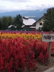 #ミルキー#の画像