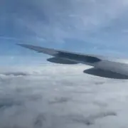Ruiの画像