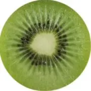 ナミの画像