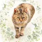 ケイジュ(=ↀᴥↀ=)の画像