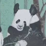 半゜田の画像
