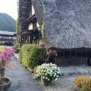 mulleの画像